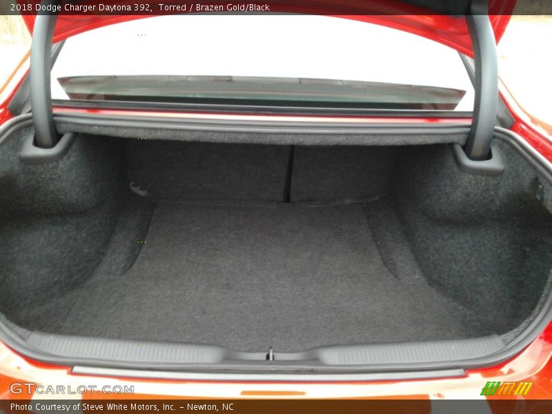 Torred / Brazen Gold/Black 2018 Dodge Charger Daytona 392