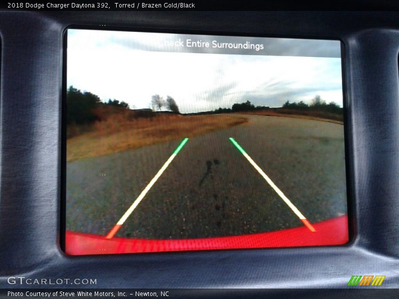 Torred / Brazen Gold/Black 2018 Dodge Charger Daytona 392