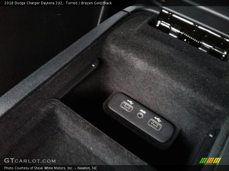 Torred / Brazen Gold/Black 2018 Dodge Charger Daytona 392