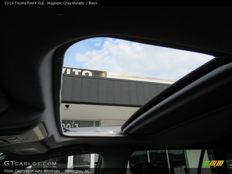 Magnetic Gray Metallic / Black 2019 Toyota RAV4 XLE