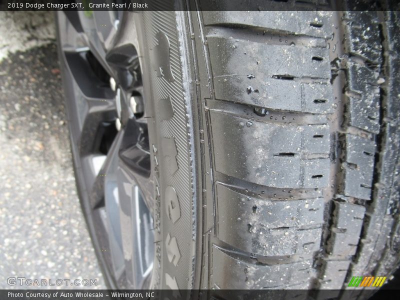 Granite Pearl / Black 2019 Dodge Charger SXT