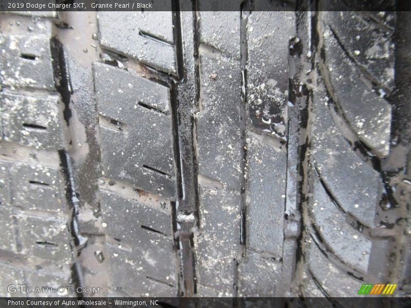 Granite Pearl / Black 2019 Dodge Charger SXT