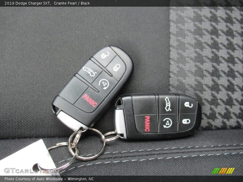 Granite Pearl / Black 2019 Dodge Charger SXT