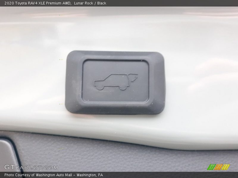 Lunar Rock / Black 2020 Toyota RAV4 XLE Premium AWD
