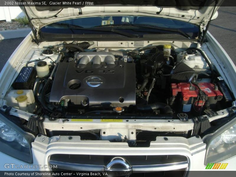 Glacier White Pearl / Frost 2002 Nissan Maxima SE