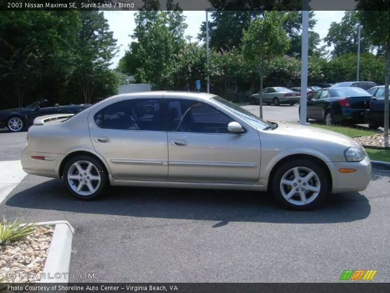 Sunlit Sand / Blond 2003 Nissan Maxima SE