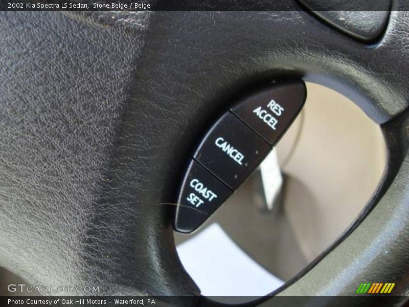 Stone Beige / Beige 2002 Kia Spectra LS Sedan