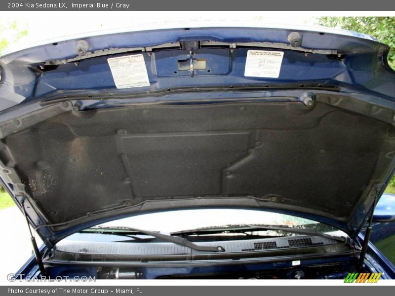Imperial Blue / Gray 2004 Kia Sedona LX