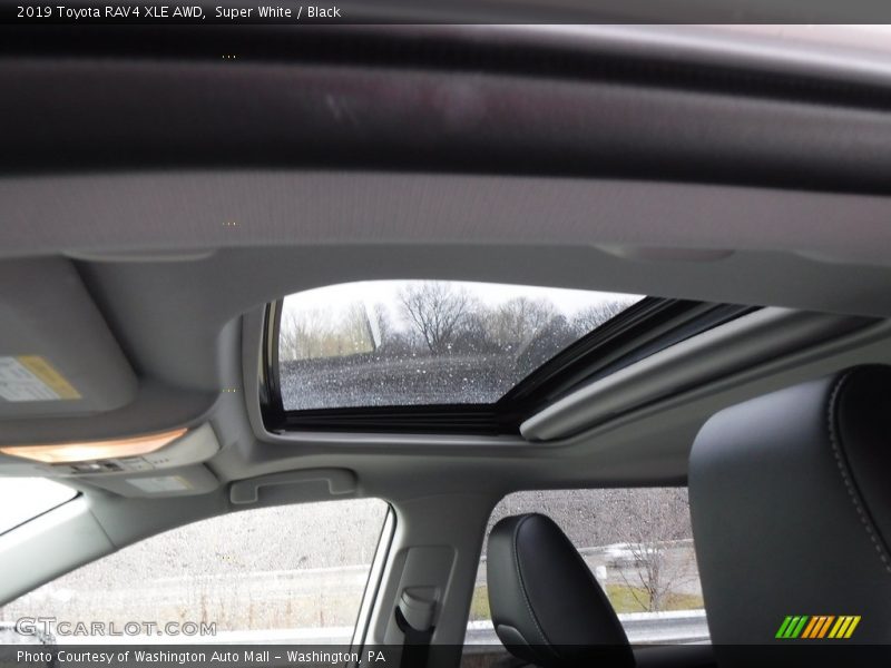 Super White / Black 2019 Toyota RAV4 XLE AWD