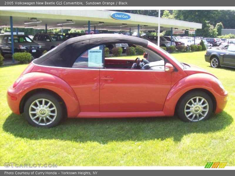 Sundown Orange / Black 2005 Volkswagen New Beetle GLS Convertible