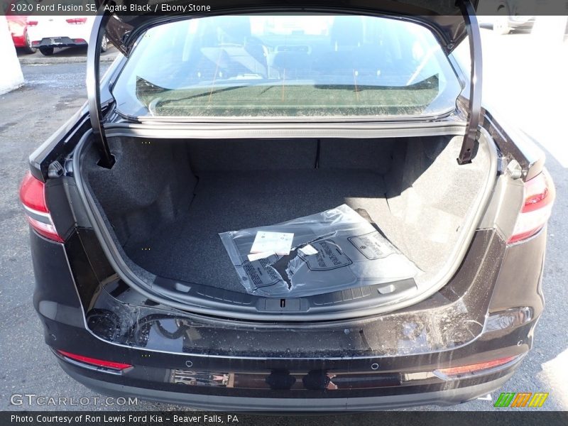 Agate Black / Ebony Stone 2020 Ford Fusion SE