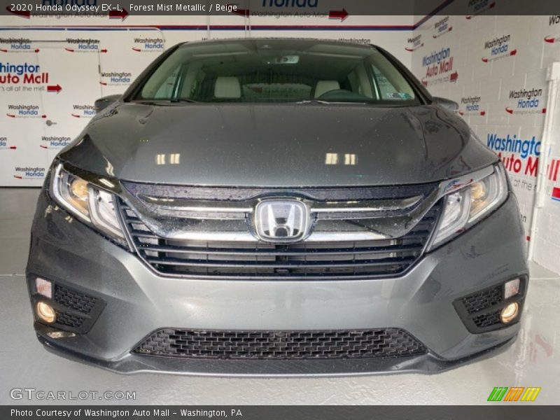 Forest Mist Metallic / Beige 2020 Honda Odyssey EX-L