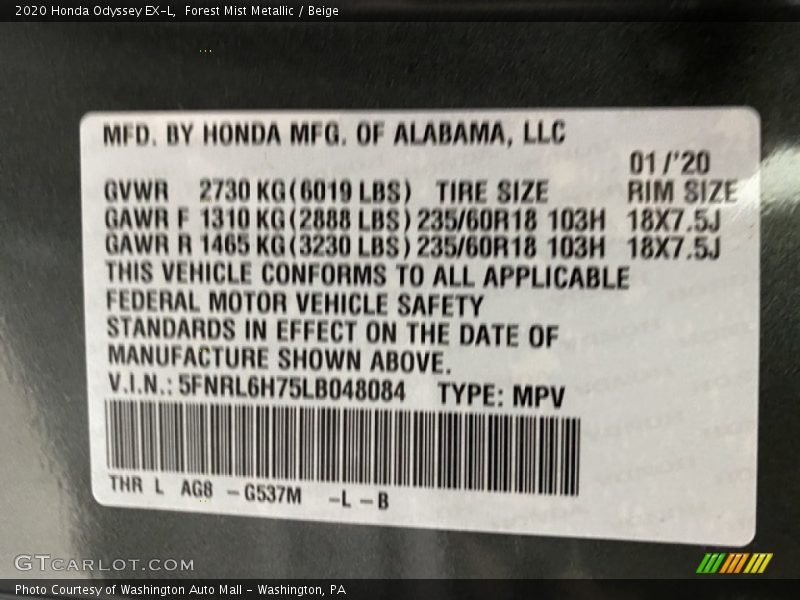 Forest Mist Metallic / Beige 2020 Honda Odyssey EX-L
