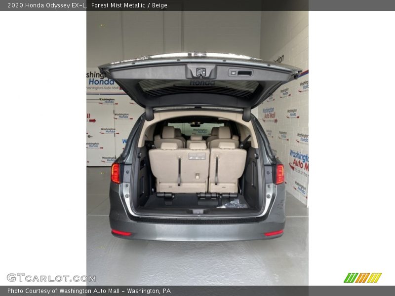 Forest Mist Metallic / Beige 2020 Honda Odyssey EX-L