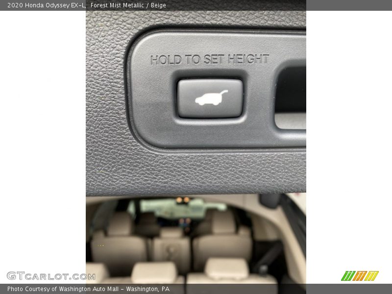 Forest Mist Metallic / Beige 2020 Honda Odyssey EX-L