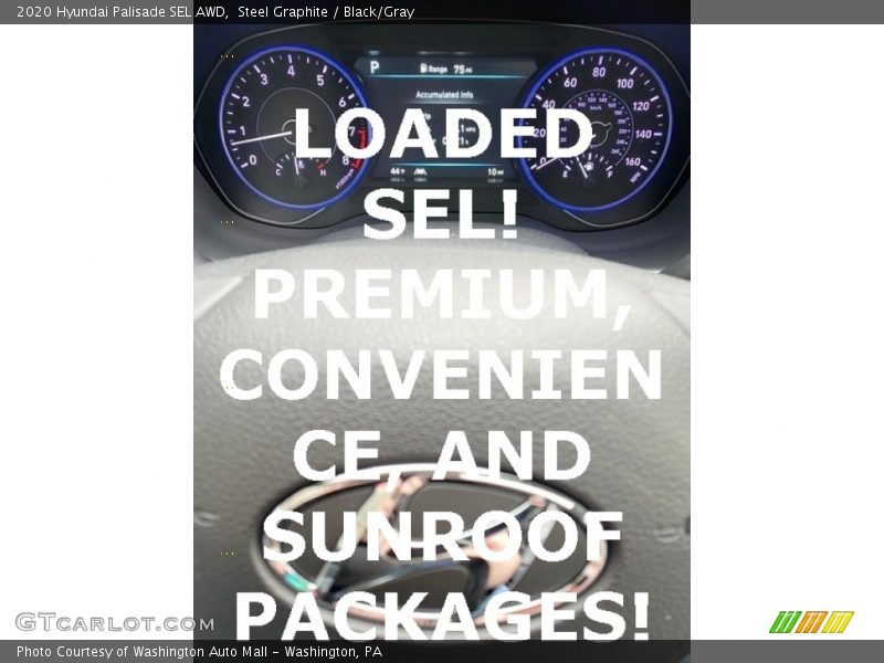 Steel Graphite / Black/Gray 2020 Hyundai Palisade SEL AWD