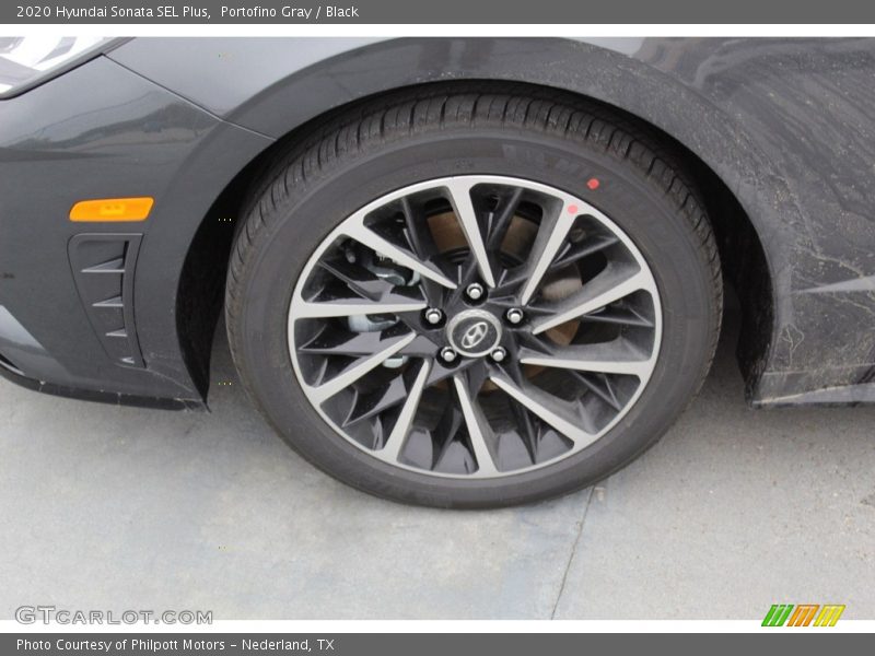 Portofino Gray / Black 2020 Hyundai Sonata SEL Plus