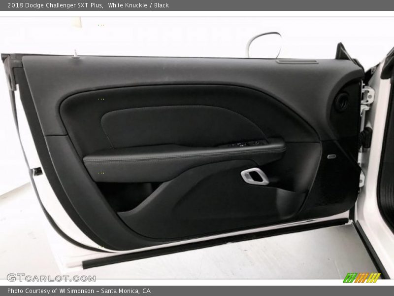 Door Panel of 2018 Challenger SXT Plus