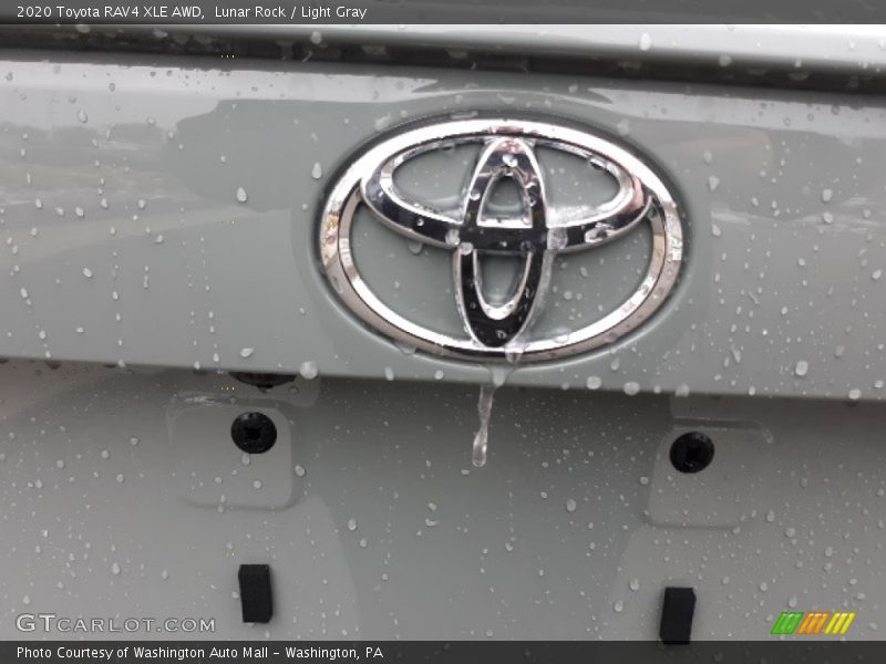 Lunar Rock / Light Gray 2020 Toyota RAV4 XLE AWD