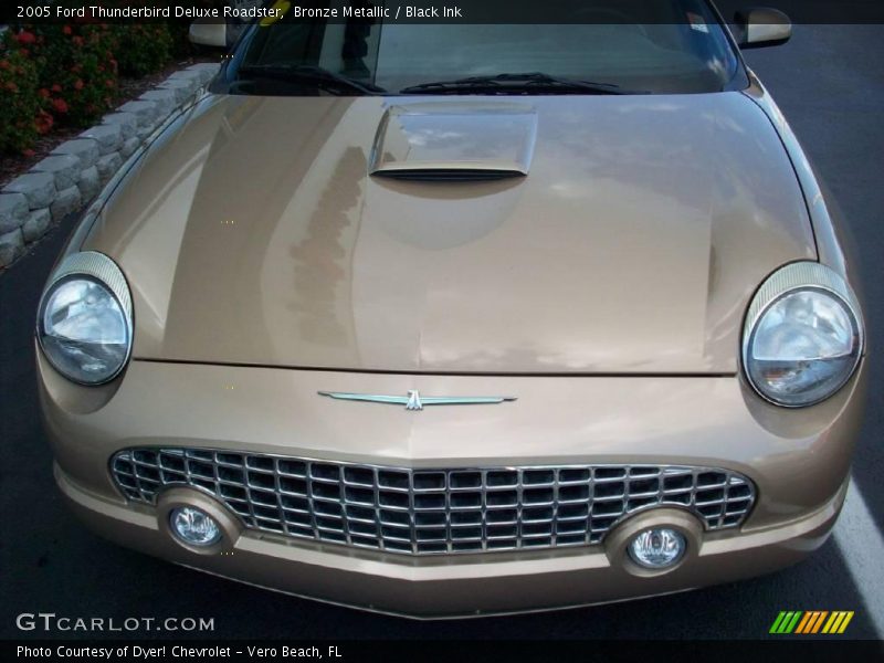 Bronze Metallic / Black Ink 2005 Ford Thunderbird Deluxe Roadster