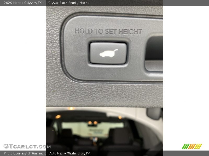 Crystal Black Pearl / Mocha 2020 Honda Odyssey EX-L