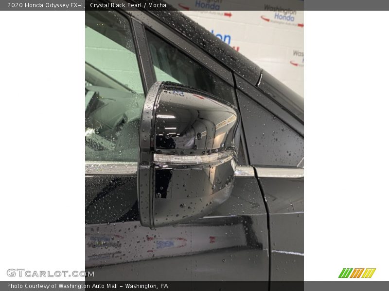 Crystal Black Pearl / Mocha 2020 Honda Odyssey EX-L