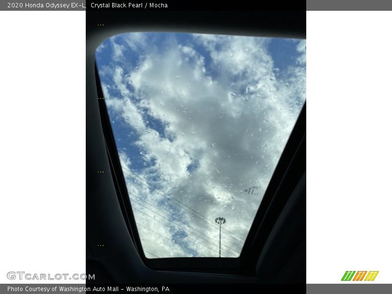 Crystal Black Pearl / Mocha 2020 Honda Odyssey EX-L