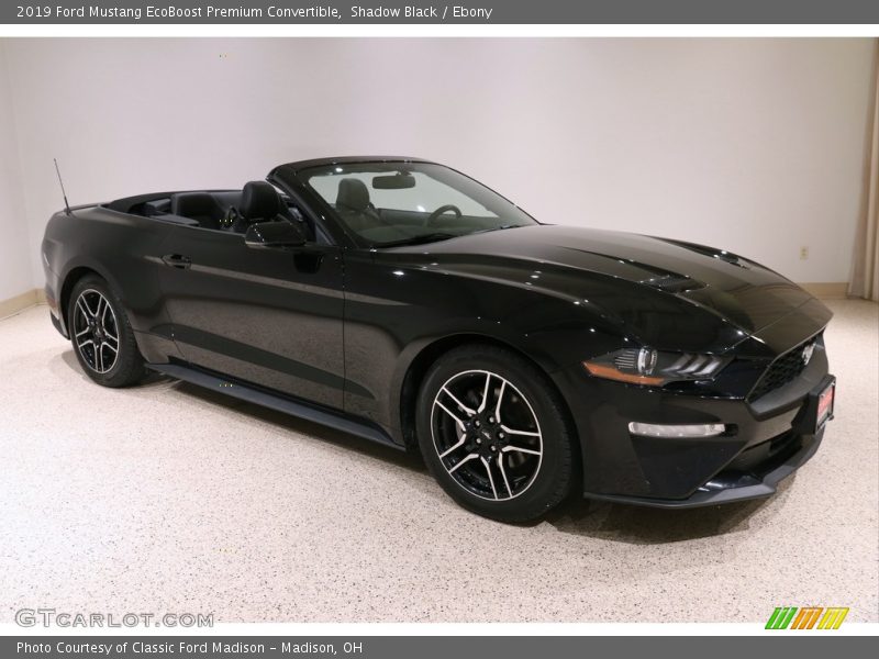 Shadow Black / Ebony 2019 Ford Mustang EcoBoost Premium Convertible