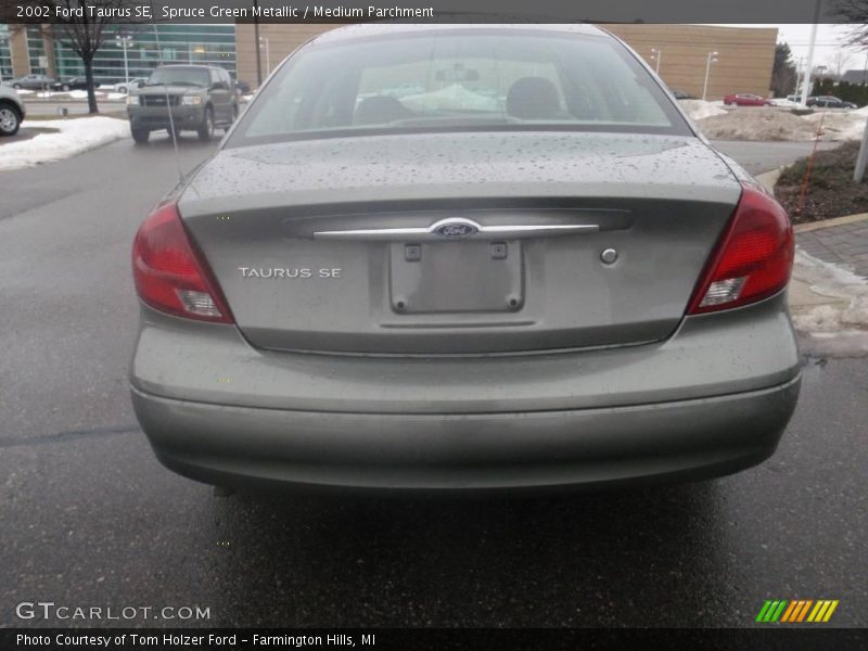 Spruce Green Metallic / Medium Parchment 2002 Ford Taurus SE