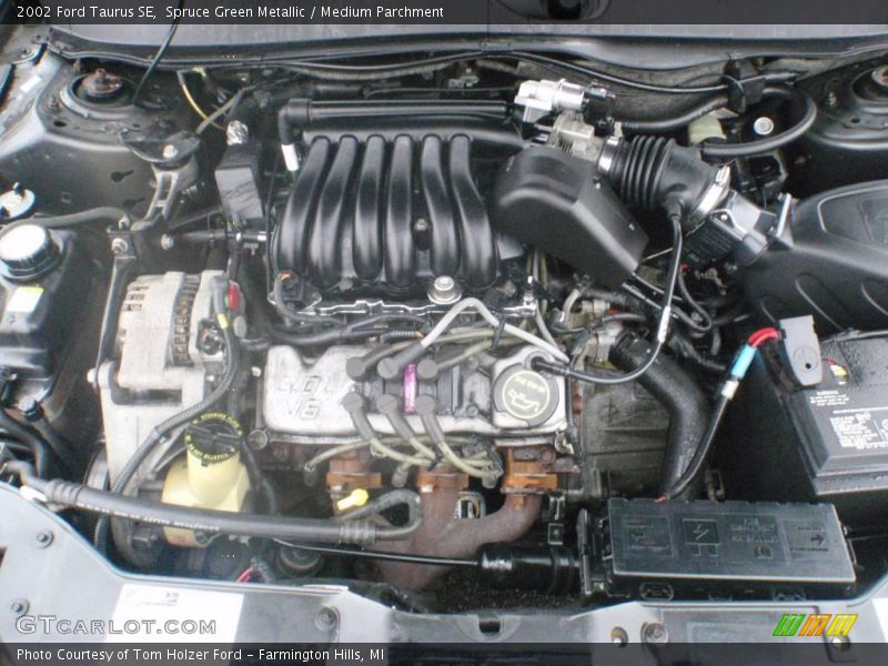 Spruce Green Metallic / Medium Parchment 2002 Ford Taurus SE