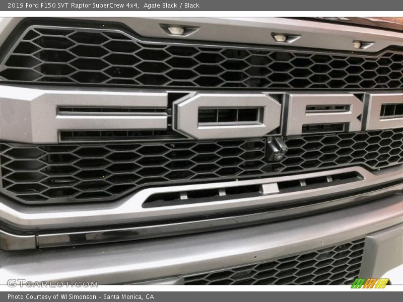 Agate Black / Black 2019 Ford F150 SVT Raptor SuperCrew 4x4