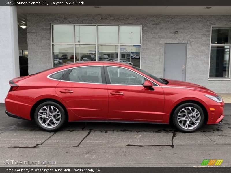  2020 Sonata SEL Calypso Red