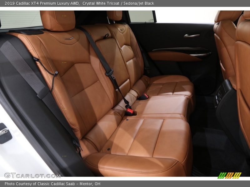 Rear Seat of 2019 XT4 Premium Luxury AWD