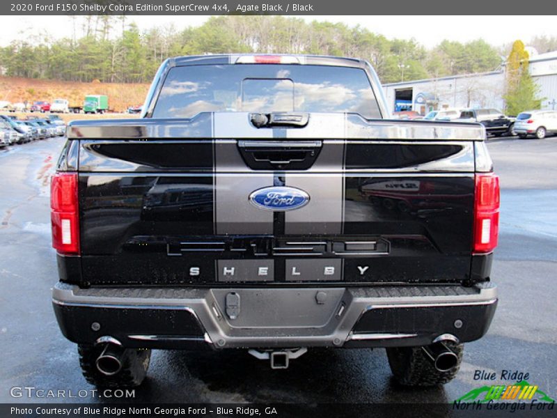 Agate Black / Black 2020 Ford F150 Shelby Cobra Edition SuperCrew 4x4