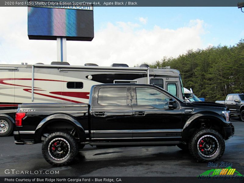 Agate Black / Black 2020 Ford F150 Shelby Cobra Edition SuperCrew 4x4