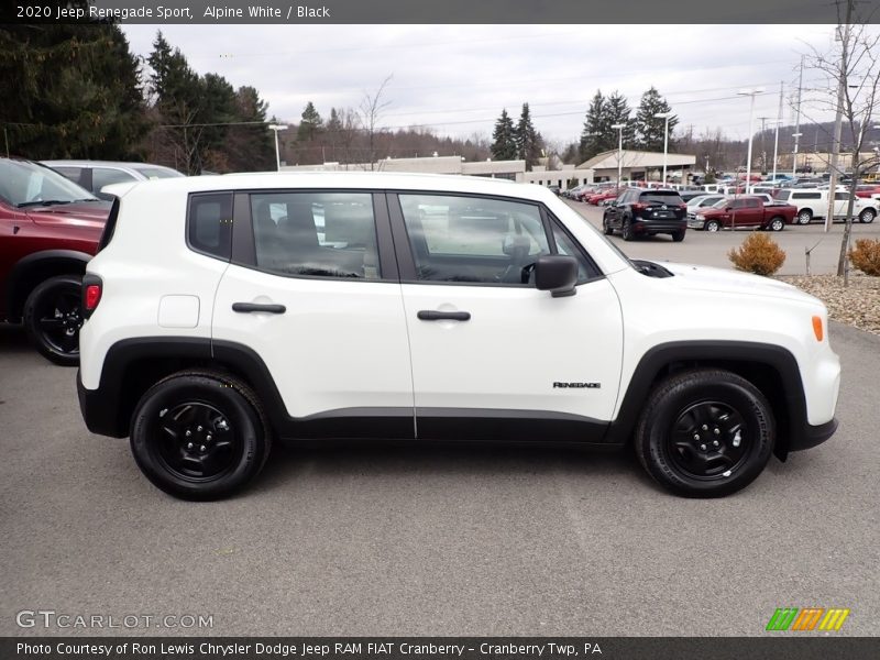 Alpine White / Black 2020 Jeep Renegade Sport