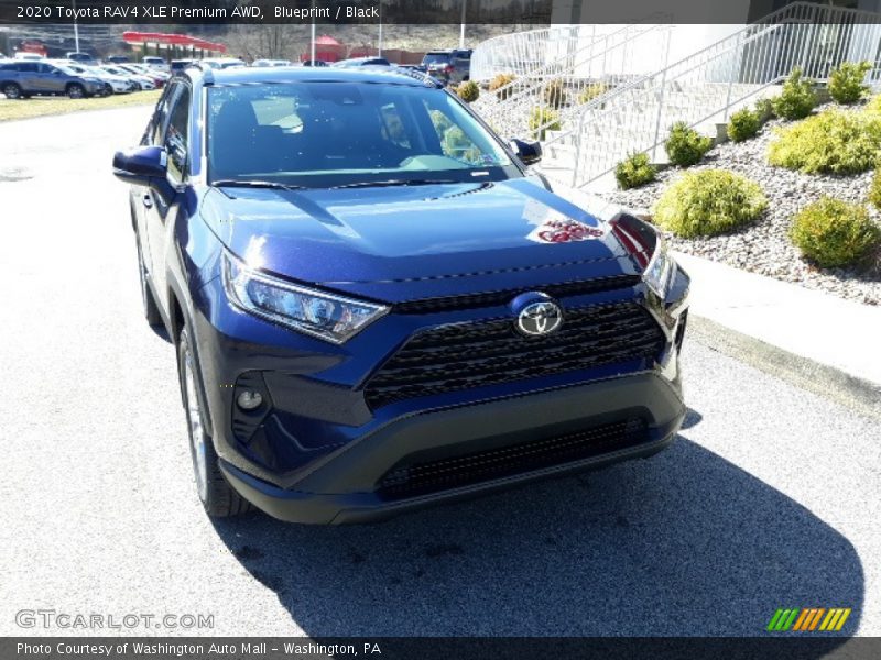 Blueprint / Black 2020 Toyota RAV4 XLE Premium AWD