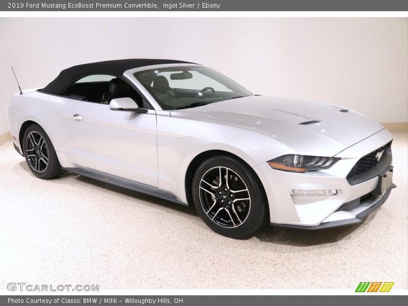 Ingot Silver / Ebony 2019 Ford Mustang EcoBoost Premium Convertible