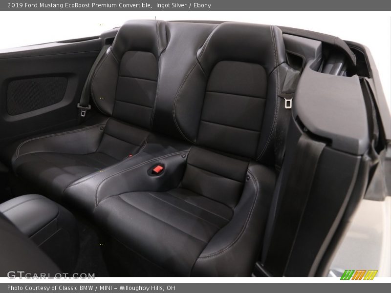 Ingot Silver / Ebony 2019 Ford Mustang EcoBoost Premium Convertible