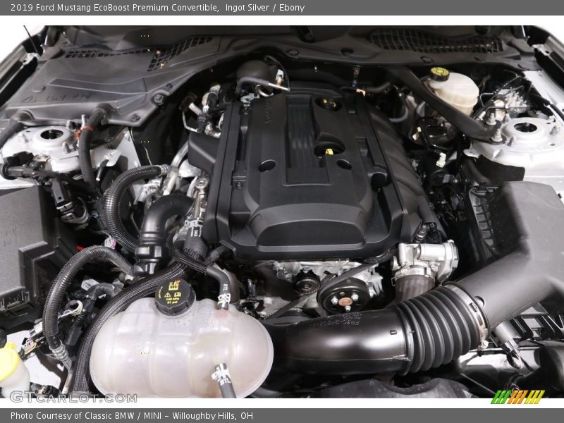 Ingot Silver / Ebony 2019 Ford Mustang EcoBoost Premium Convertible