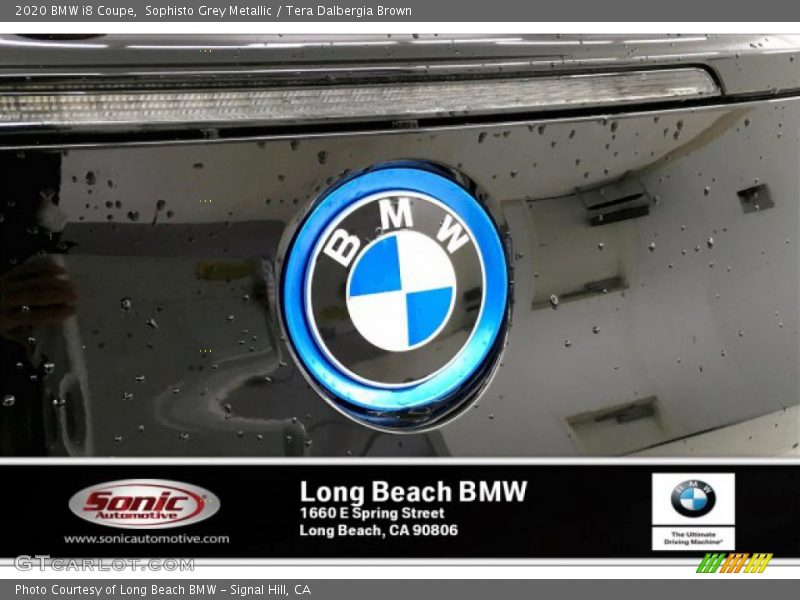 Sophisto Grey Metallic / Tera Dalbergia Brown 2020 BMW i8 Coupe