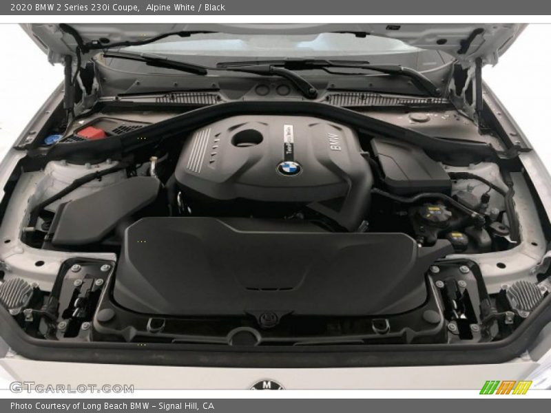 Alpine White / Black 2020 BMW 2 Series 230i Coupe