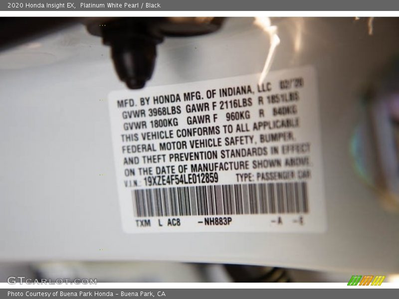 Platinum White Pearl / Black 2020 Honda Insight EX