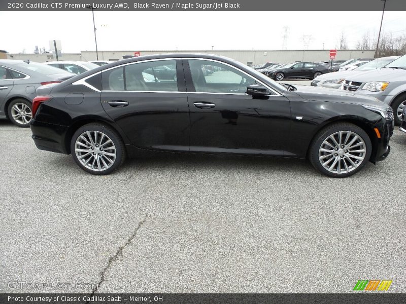 Black Raven / Maple Sugar/Jet Black 2020 Cadillac CT5 Premium Luxury AWD