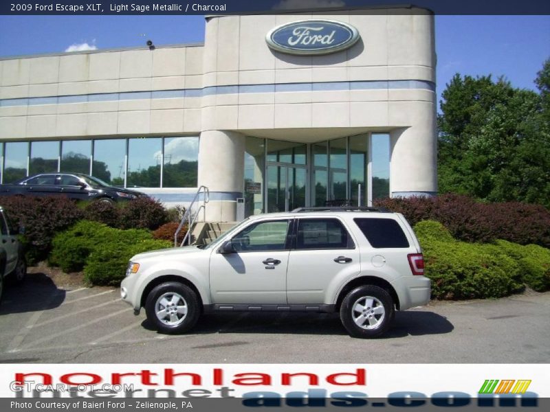 Light Sage Metallic / Charcoal 2009 Ford Escape XLT