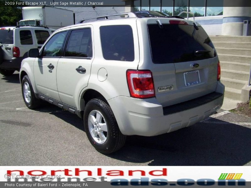 Light Sage Metallic / Charcoal 2009 Ford Escape XLT