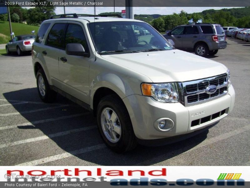 Light Sage Metallic / Charcoal 2009 Ford Escape XLT