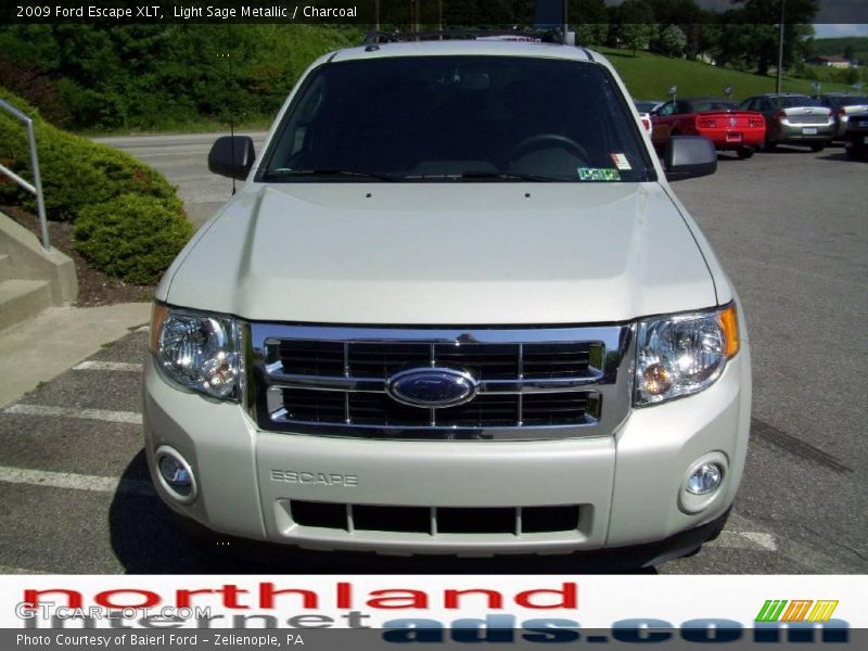 Light Sage Metallic / Charcoal 2009 Ford Escape XLT