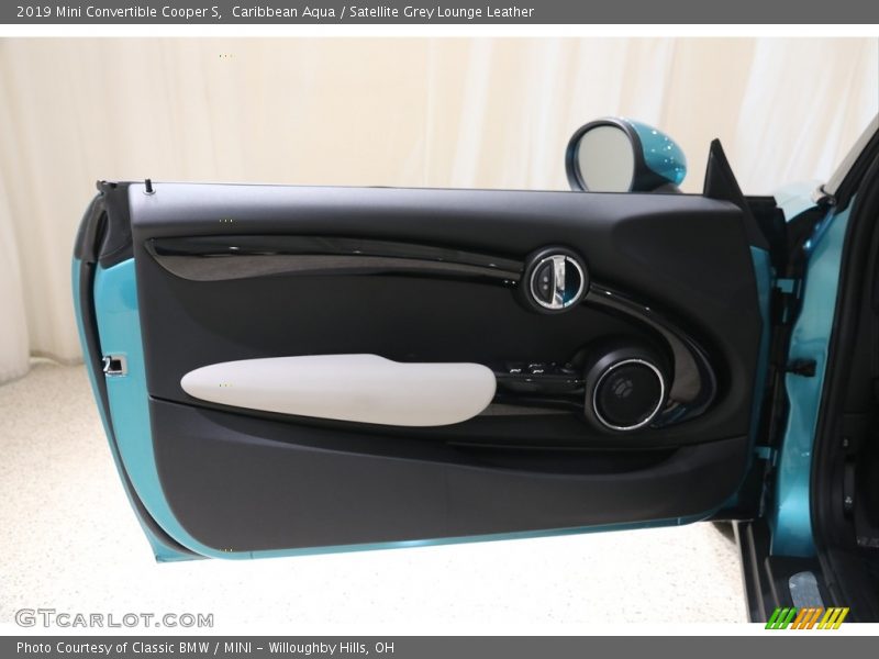 Door Panel of 2019 Convertible Cooper S