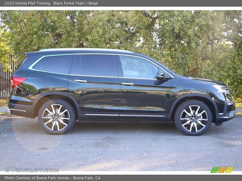 Black Forest Pearl / Beige 2020 Honda Pilot Touring